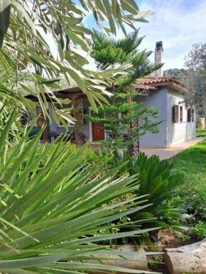 Bill's Garden Villa